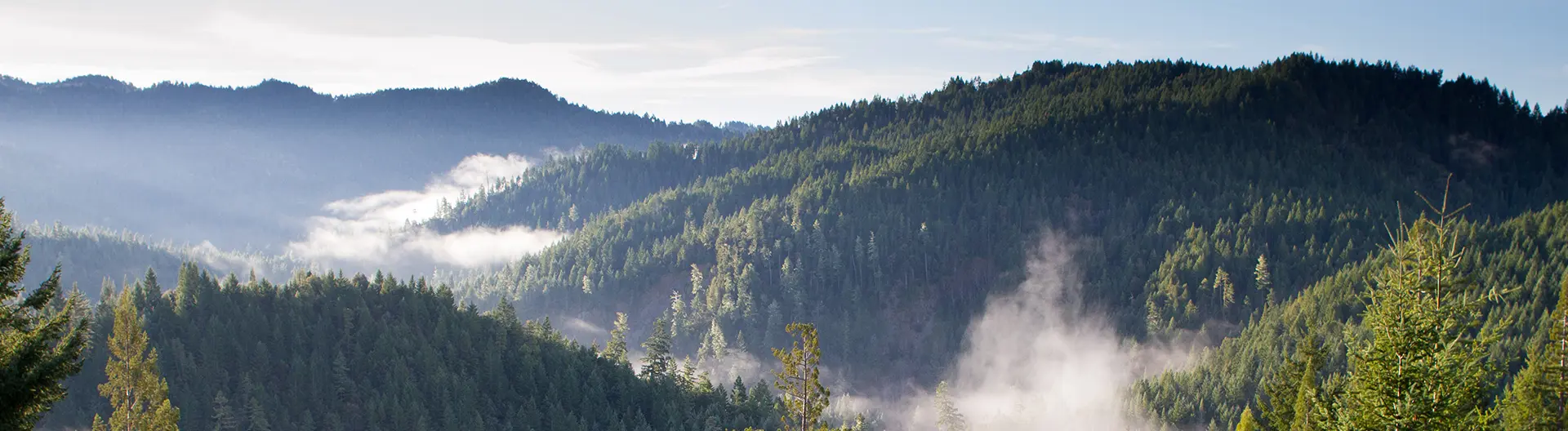 paul-summers-42915-unsplash_1920x528_AA
