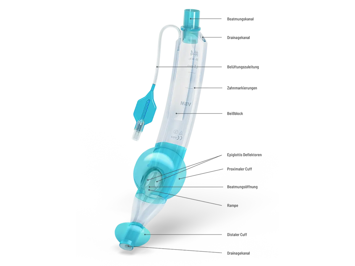 LTevo_Detailbeschreibung_Base_DE_AA